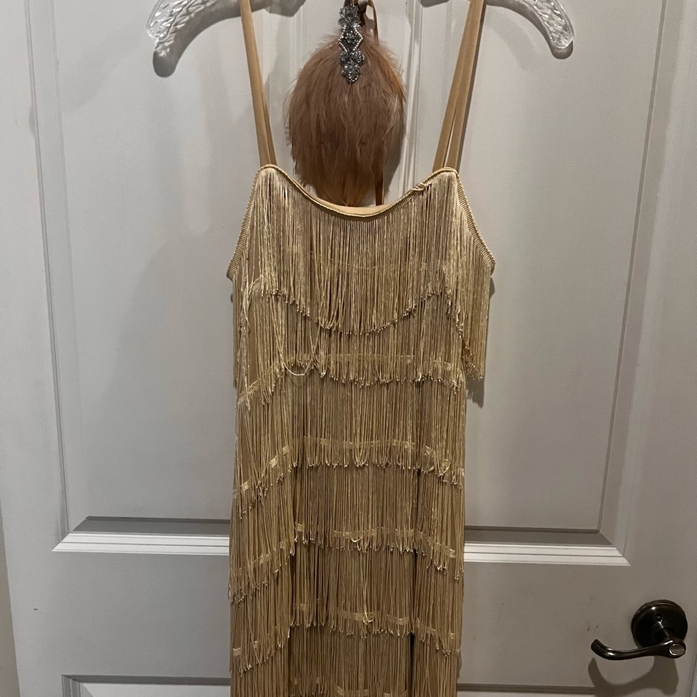 Roaring twenties style dress and headband